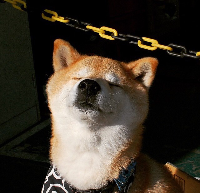 “令人震撼!年度最炫爆扣篮集锦”,最霸气扣篮