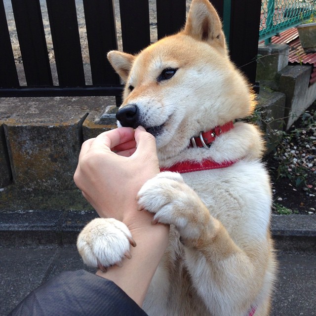 开云首页登录-“夜幕追逐：黑夜中的极速火花”，夜幕追击破点视频