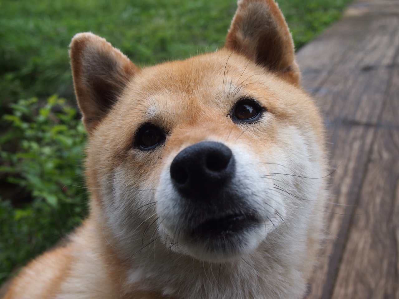 中国足球产业政策持续优化,激发市场活力,中国足球产业链