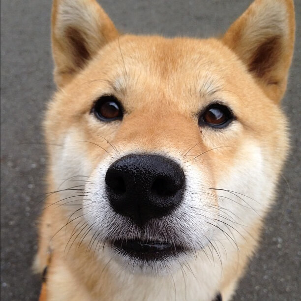 史上最大“逆转骑士”崛起，奇迹不断！，ps3逆转骑士