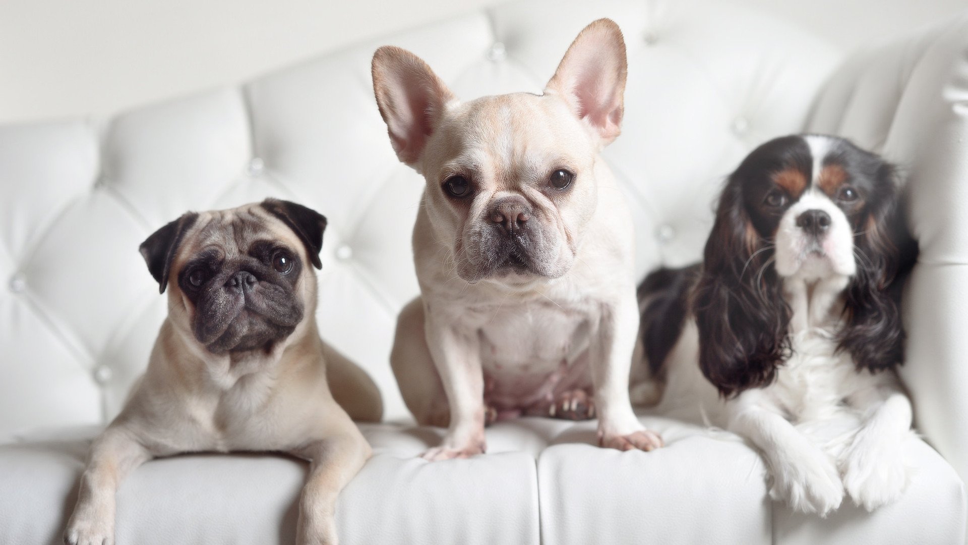 垂钓比赛，淡定享受钓鱼乐趣，2020年垂钓比赛