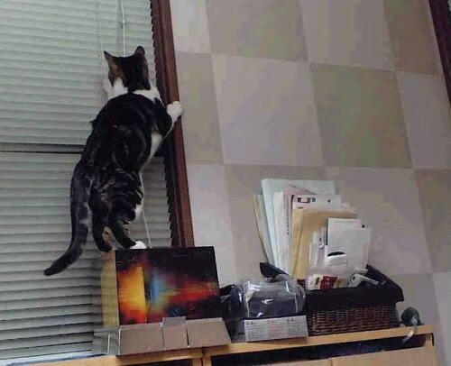 垂钓比赛，淡定享受钓鱼乐趣，2020年垂钓比赛